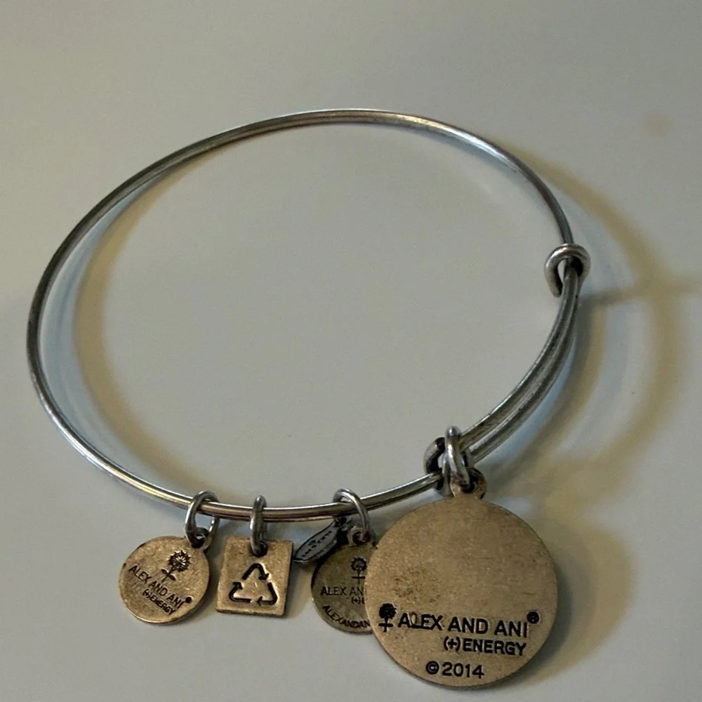 Alex and Ani Silver Paw Print Charm Bracelet